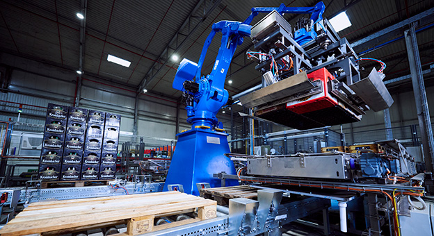 Robot for the depalletizing and palletizing process