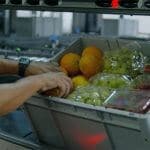 The image shows a Pick-it-Easy work station. A detailed look shows the employee placing fresh foods in crates, and preparing e-commerce orders. Oranges, grapes and tomatoes are in the crate.