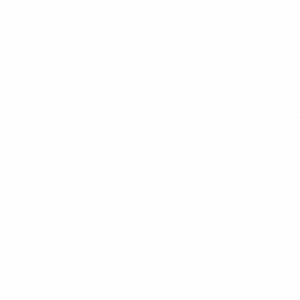 Icon world map