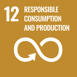 Icon SDG: Verantwortungsbewusster Konsum und Produktion