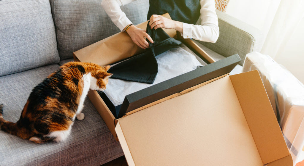 Cat and Woman unpacks unboxing new parcel containing fashion clothes Online, E-Commerce, einkaufen