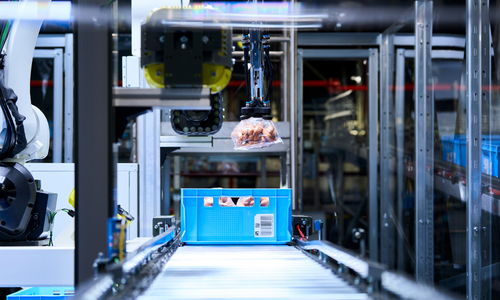 Pick-it-Easy Robot automates the fresh food logistics of EDEKA NORDfrische in Lüttow-Valluhn.