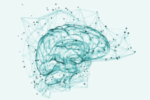 Eine digitale Illustration eines Gehirns mit miteinander verbundenen Linien und Punkten, die Automatisierungslösungen für die gesamte Wertschöpfungskette in neuronalen Netzen symbolisieren.