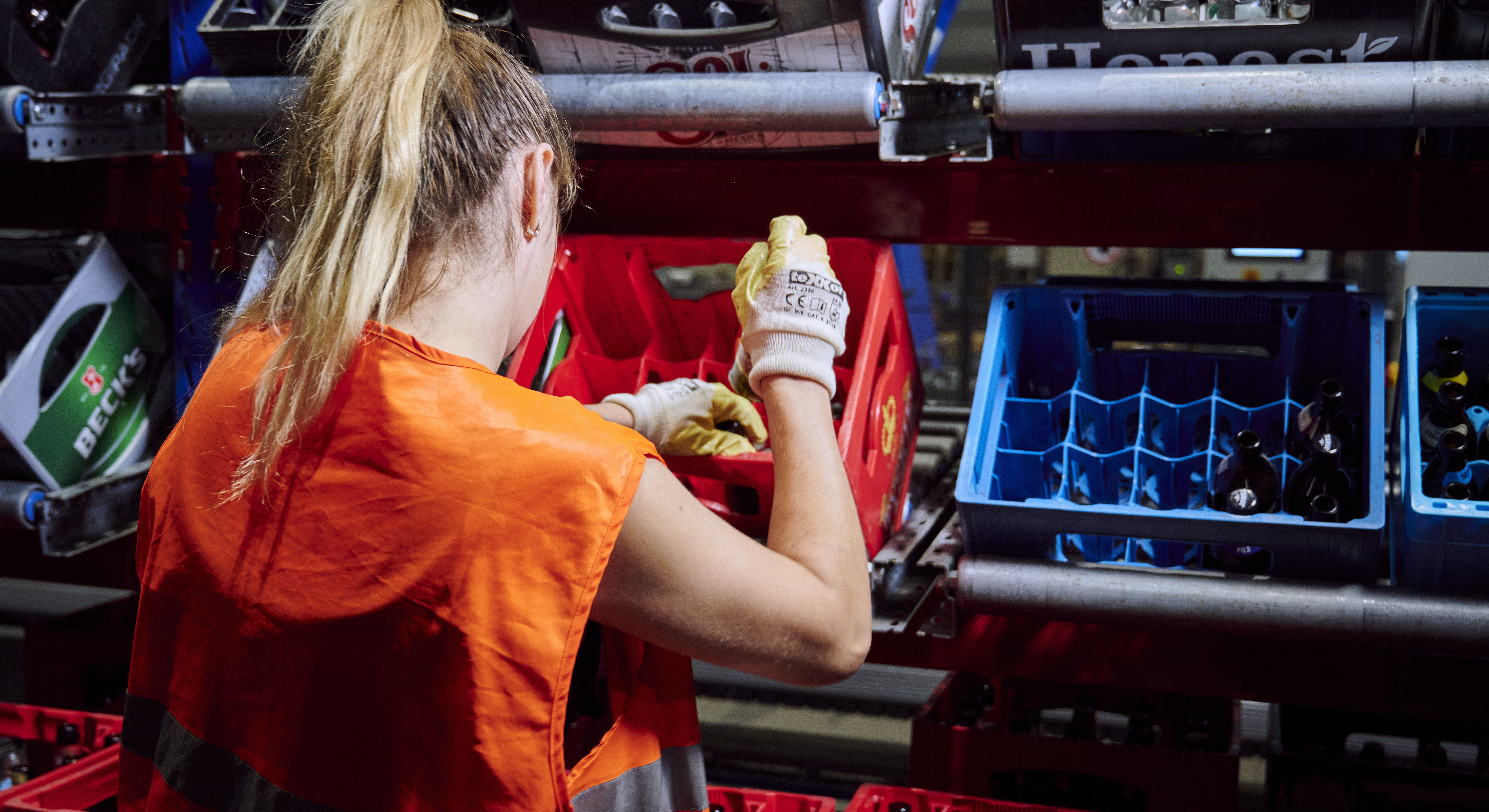 Manual crate sorting in Hamm.